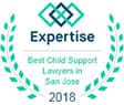 expertise | best child support lawyers in San Jose | 2018
